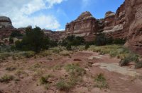 DSC_0507 (1024x681).jpg DSC_0507 (1024x681).jpg