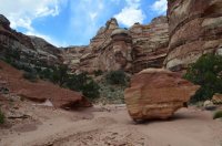 DSC_0512 (1024x681).jpg DSC_0512 (1024x681).jpg