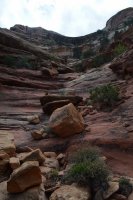 DSC_0515 (1024x681).jpg DSC_0515 (1024x681).jpg