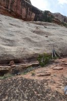 DSC_0516 (1024x681).jpg DSC_0516 (1024x681).jpg