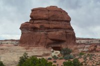 DSC_0556 (1024x681).jpg DSC_0556 (1024x681).jpg