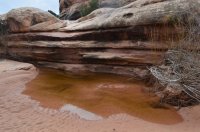 DSC_0570 (1024x681).jpg DSC_0570 (1024x681).jpg