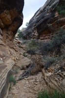 DSC_0576 (1024x681).jpg