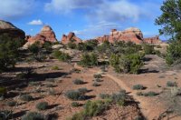 DSC_0592 (1024x681).jpg DSC_0592 (1024x681).jpg