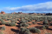 DSC_0610 (1024x681).jpg DSC_0610 (1024x681).jpg