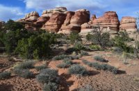 DSC_0586 (1024x681).jpg DSC_0586 (1024x681).jpg