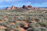 DSC_0609 (1024x681).jpg DSC_0609 (1024x681).jpg