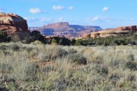 DSC_0608 (1024x681).jpg DSC_0608 (1024x681).jpg