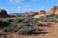 DSC_0606 (1024x681).jpg DSC_0606 (1024x681).jpg