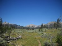 DSCN2736.JPG DSCN2736.JPG