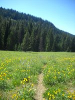 DSCN2782.JPG DSCN2782.JPG