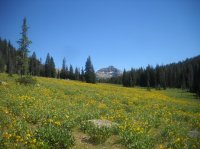 DSCN2785.JPG DSCN2785.JPG