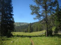 DSCN2791.JPG DSCN2791.JPG