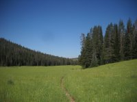 DSCN2817.JPG DSCN2817.JPG