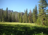 DSCN2848.JPG DSCN2848.JPG