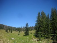 DSCN2875.JPG DSCN2875.JPG