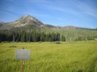 DSCN2931.JPG DSCN2931.JPG