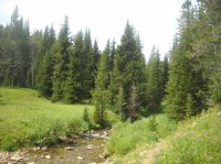 DSCN2950.JPG DSCN2950.JPG