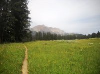 DSCN2970.JPG DSCN2970.JPG