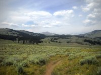 DSCN2980.JPG DSCN2980.JPG