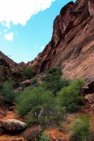 Red Cliff Wandering-2.jpg