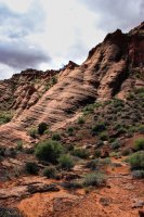 Red Cliff Wandering-6.jpg