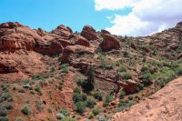 Red Cliff Wandering-8.jpg