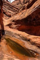 Red Cliff Wandering-12.jpg