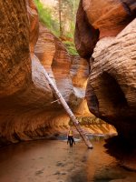 zion-subway-21.jpg