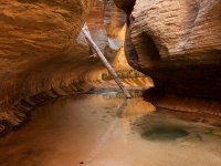 zion-subway-22.jpg