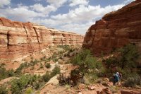 the-maze-canyonlands-16.jpg the-maze-canyonlands-16.jpg