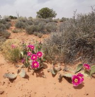 the-maze-canyonlands-33.jpg the-maze-canyonlands-33.jpg