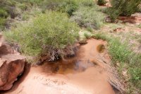the-maze-canyonlands-55.jpg the-maze-canyonlands-55.jpg