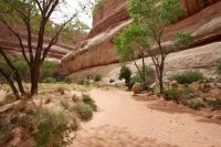 the-maze-canyonlands-56.jpg the-maze-canyonlands-56.jpg