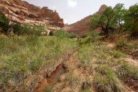 the-maze-canyonlands-58.jpg