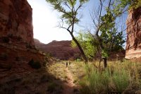 the-maze-canyonlands-72.jpg the-maze-canyonlands-72.jpg