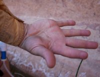 the-maze-canyonlands-76.jpg the-maze-canyonlands-76.jpg