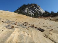 554425_10150933261775519_1590229276_n - Copy.jpg