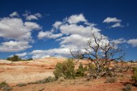 backpacking-the-maze-51.jpg backpacking-the-maze-51.jpg