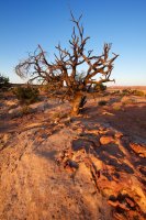 backpacking-the-maze-68.jpg backpacking-the-maze-68.jpg