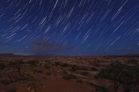 jasperstars.jpg jasperstars.jpg