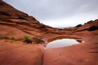 Crossover.jpg Crossover.jpg