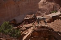 ZC0D3252 - Version 2.jpg