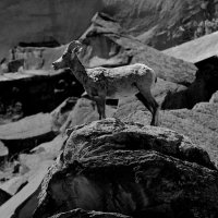 ZC0D3252 - Version 3.jpg ZC0D3252 - Version 3.jpg