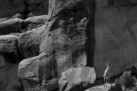 ZC0D3258 - Version 2.jpg ZC0D3258 - Version 2.jpg