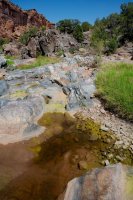 ZC0D3268.jpg ZC0D3268.jpg