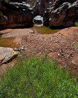 ZC0D3272.jpg ZC0D3272.jpg