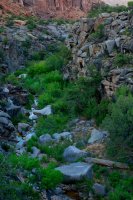 ZC0D3293.jpg ZC0D3293.jpg