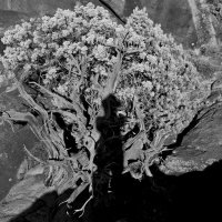 ZC0D3318.jpg ZC0D3318.jpg