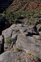 ZC0D3338.jpg ZC0D3338.jpg